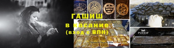 индика Бородино