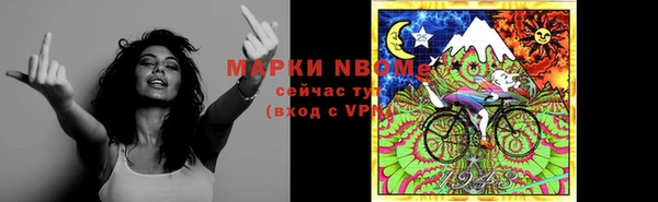 индика Бородино