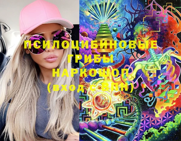 ГАЛЛЮЦИНОГЕННЫЕ ГРИБЫ Бугульма