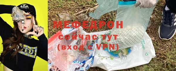 индика Бородино