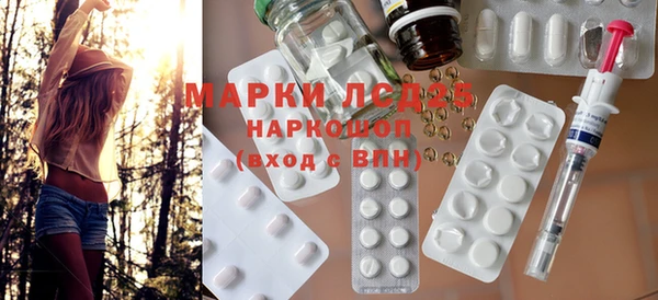 индика Бородино