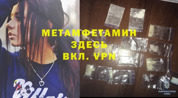 индика Бородино