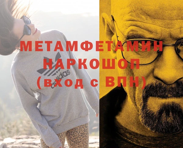 индика Бородино