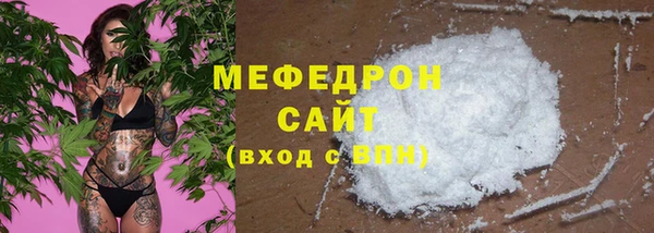 индика Бородино