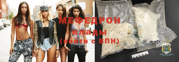 индика Бородино