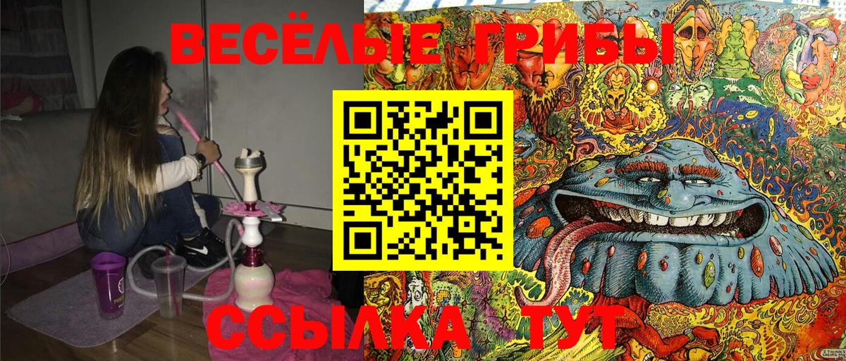 Уссурийск  Галлюциногенные грибы мицелий  Псилоцибиновые грибы Psilocybine cubensis  Вход с VPN 
