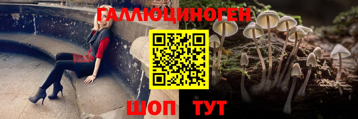 Галлюциногенные грибы GOLDEN TEACHER Уссурийск